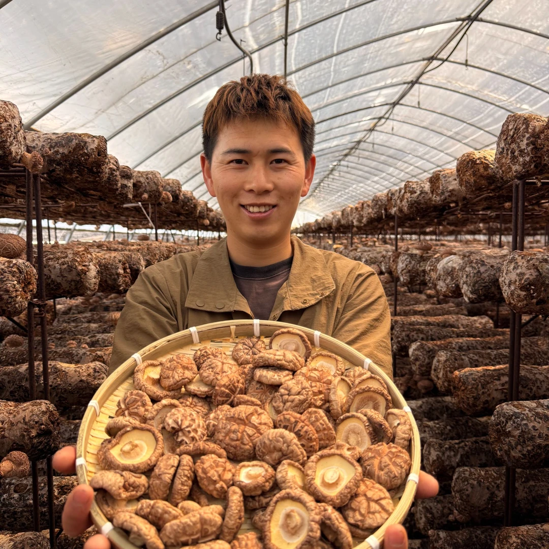 优质香菇干货东北特产新货农家自产农产品肉厚无根菌香浓郁