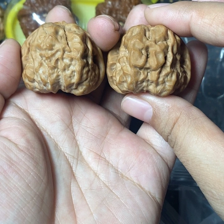 文玩核桃把件蛤蟆37