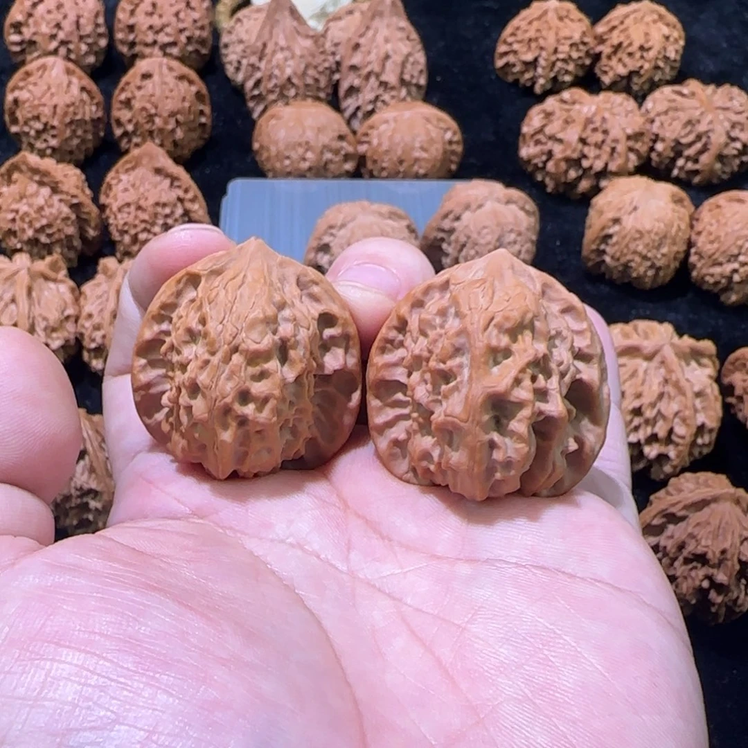 文玩核桃把件37白蛇骨