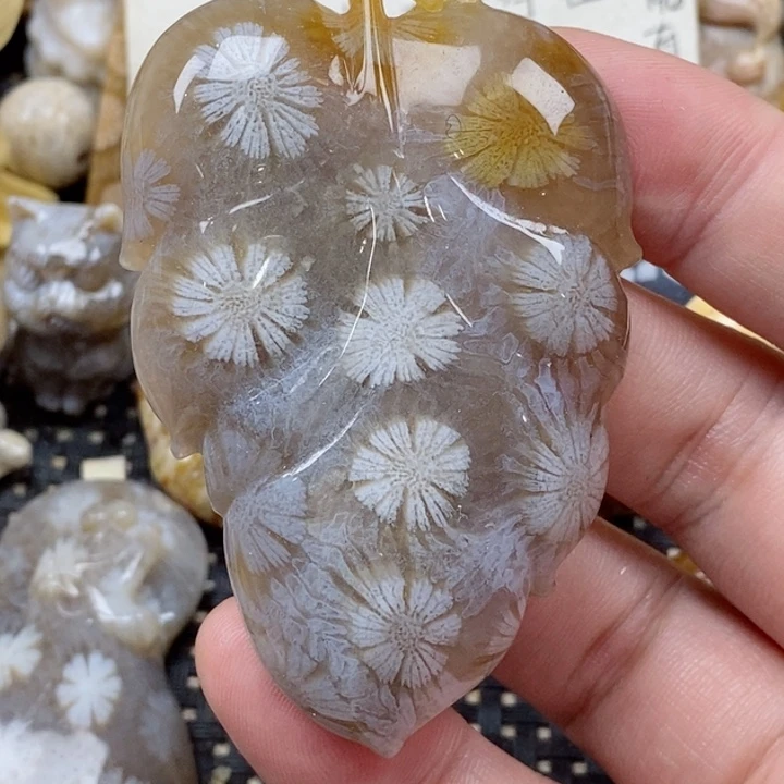 颈饰未镶嵌硅化珊瑚（珊瑚玉）