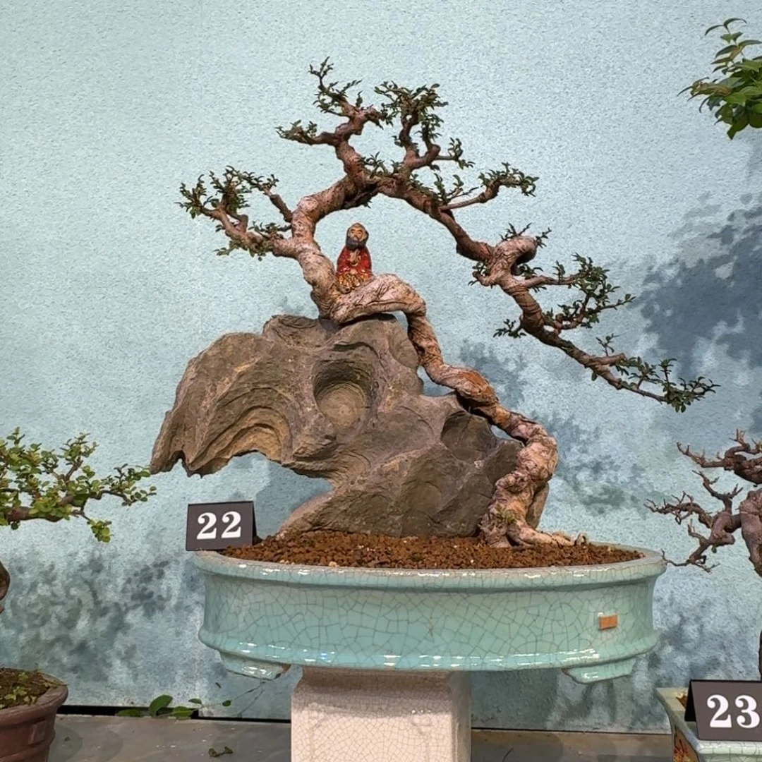 往***风无花朵111111111111111111111