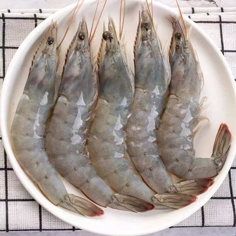 【海水大虾3斤送1斤共到手4斤】甄选 顺丰冷链包邮大虾海洋大虾薄碎冰锁鲜 牛