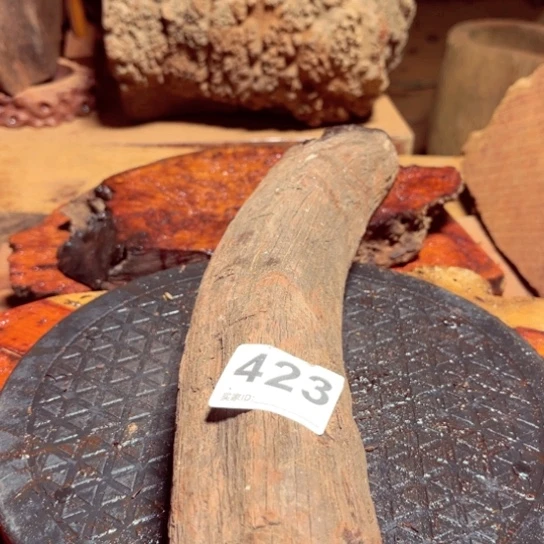 大果紫檀（缅甸花梨）