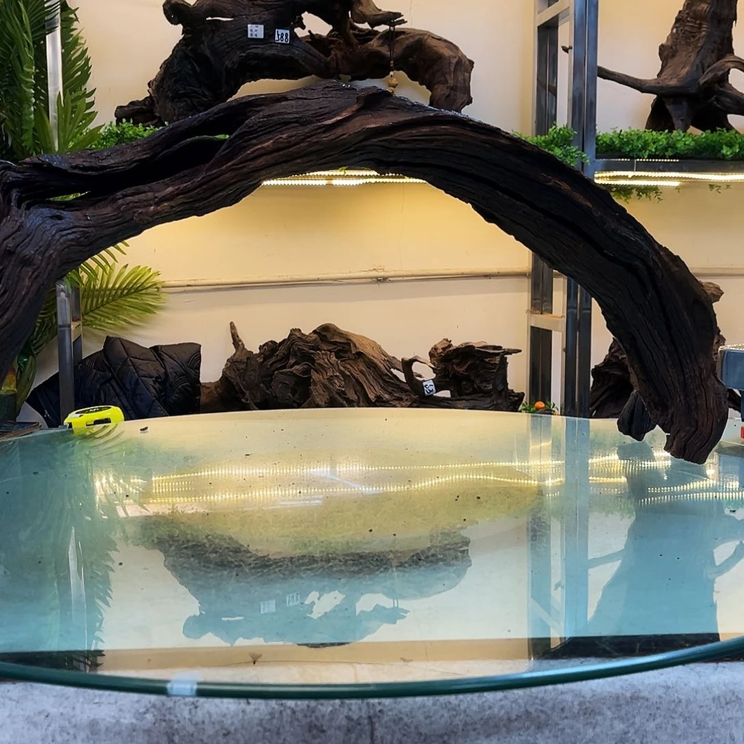 柚木红***英沉木鱼缸造景