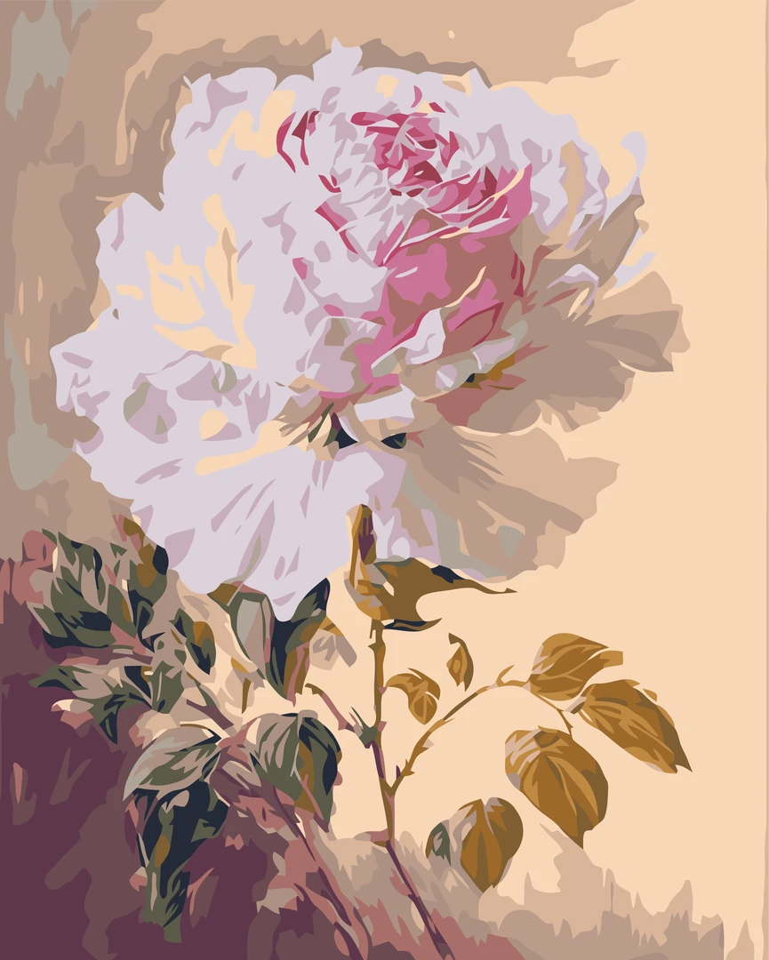 diy数字油画新品上新40CM*50CM show花卉系列合集（可做任意尺寸）