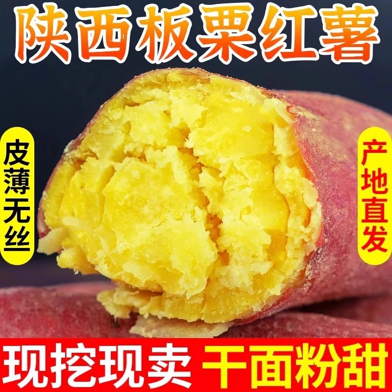 【闪电发货】陕西板栗红薯现挖现发粉糯香甜地瓜番薯农家沙地自种芋