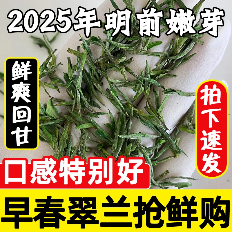 岳西翠兰2025特级春茶明前茶新茶礼茶头采茶绿茶翠尖兰花香耐泡