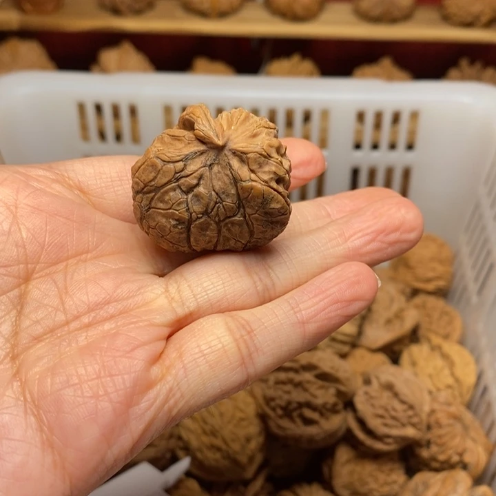 旭***日文玩核桃把件文玩