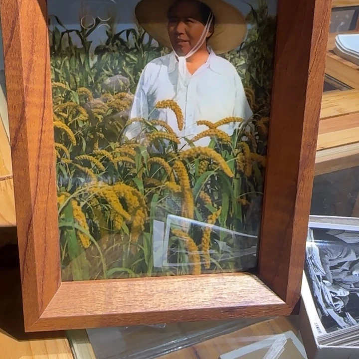 罗***溪瓷片11111111111111