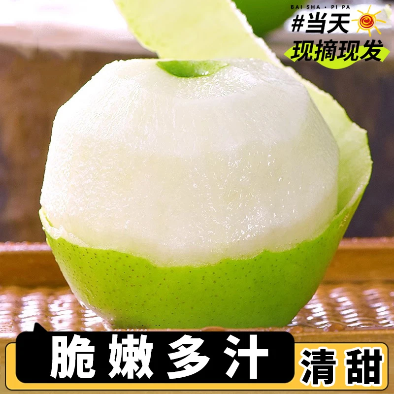 新鲜现摘现发产地直销苹果梨子冠翠梨青皮蜜梨玉梨水果瓜脆甜