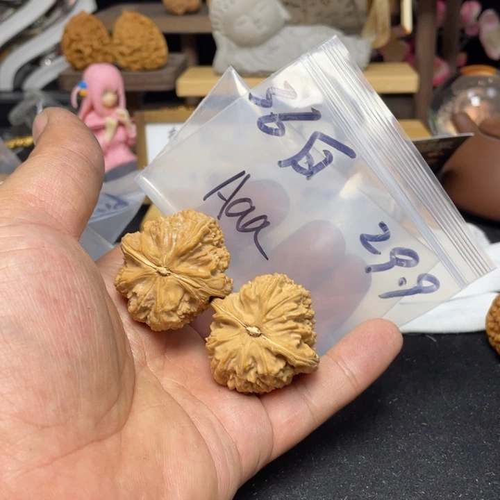 文玩核桃把件A****k白狮子