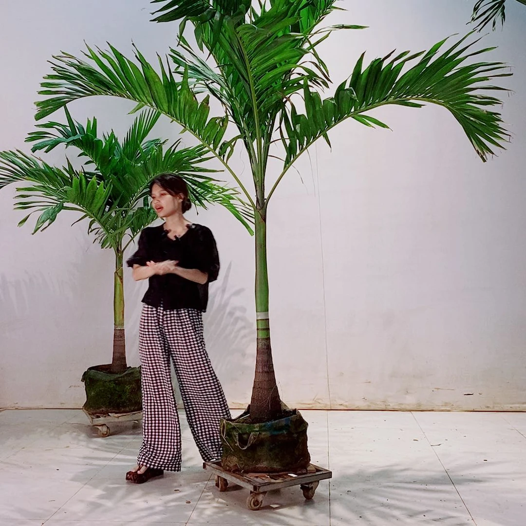 无花朵医****理34567888888