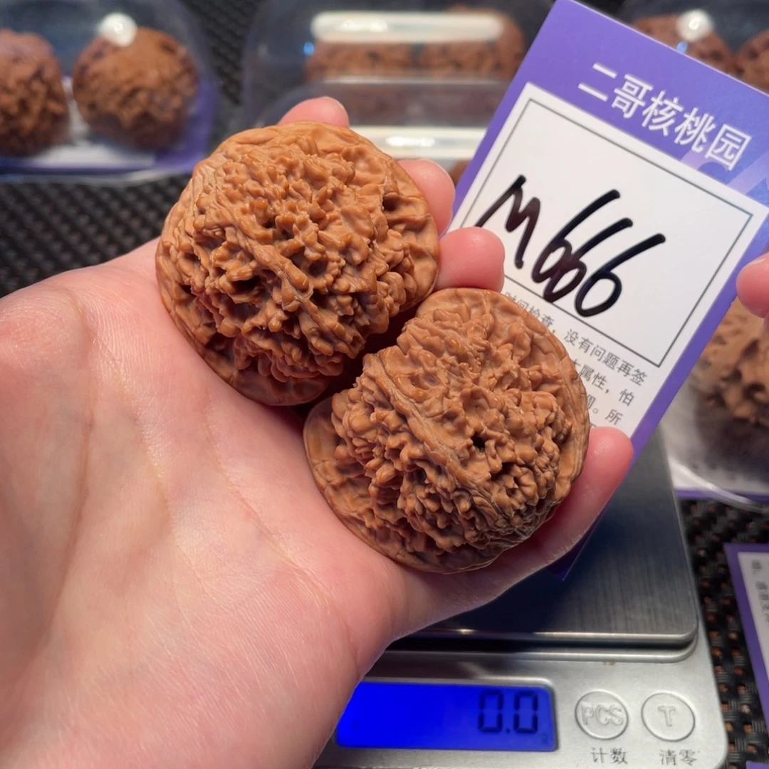 把件桃核M666号满天星45