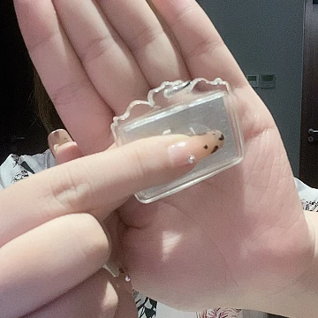 泥塑汤姆和杰瑞吊坠福莉
