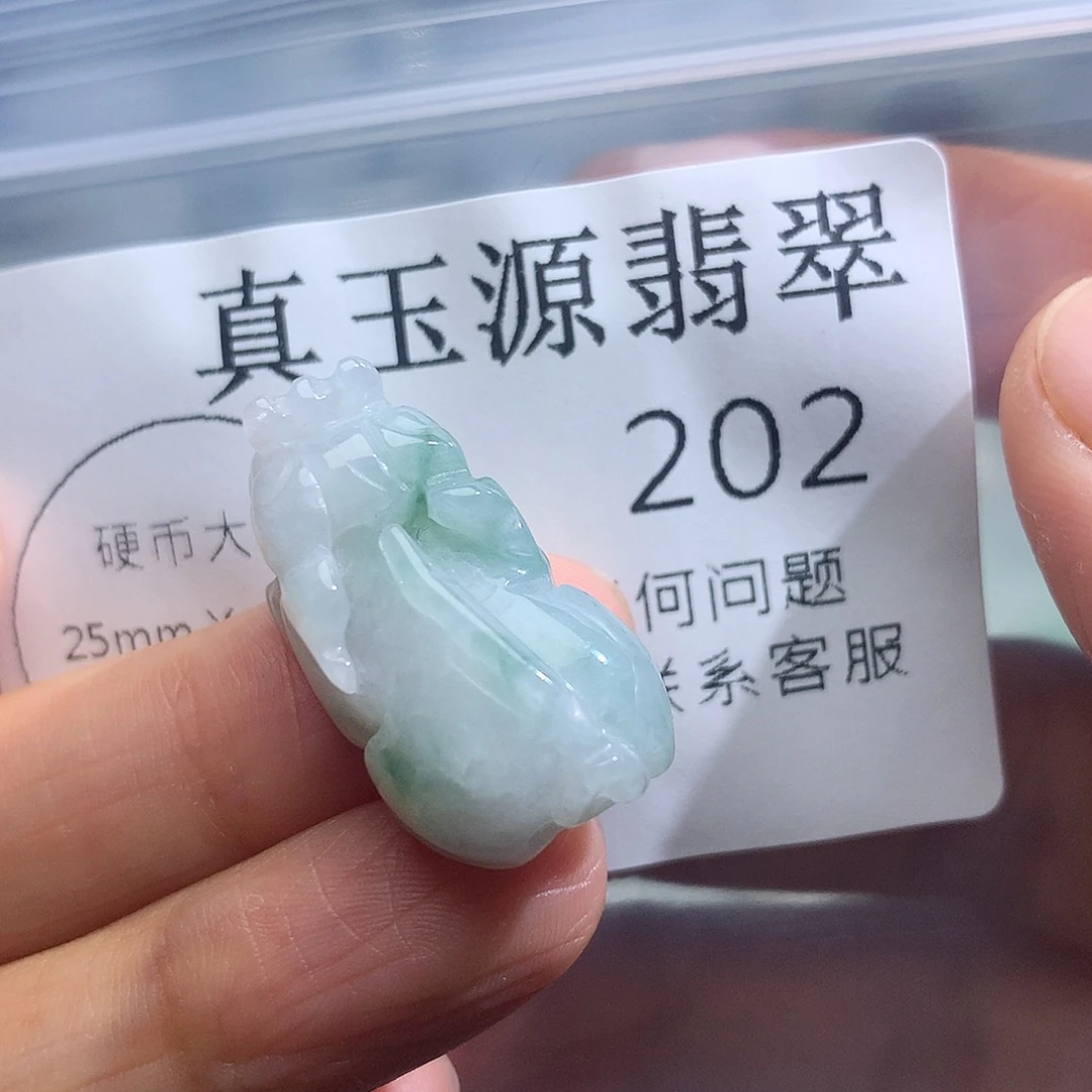 翡翠未镶嵌颈饰202