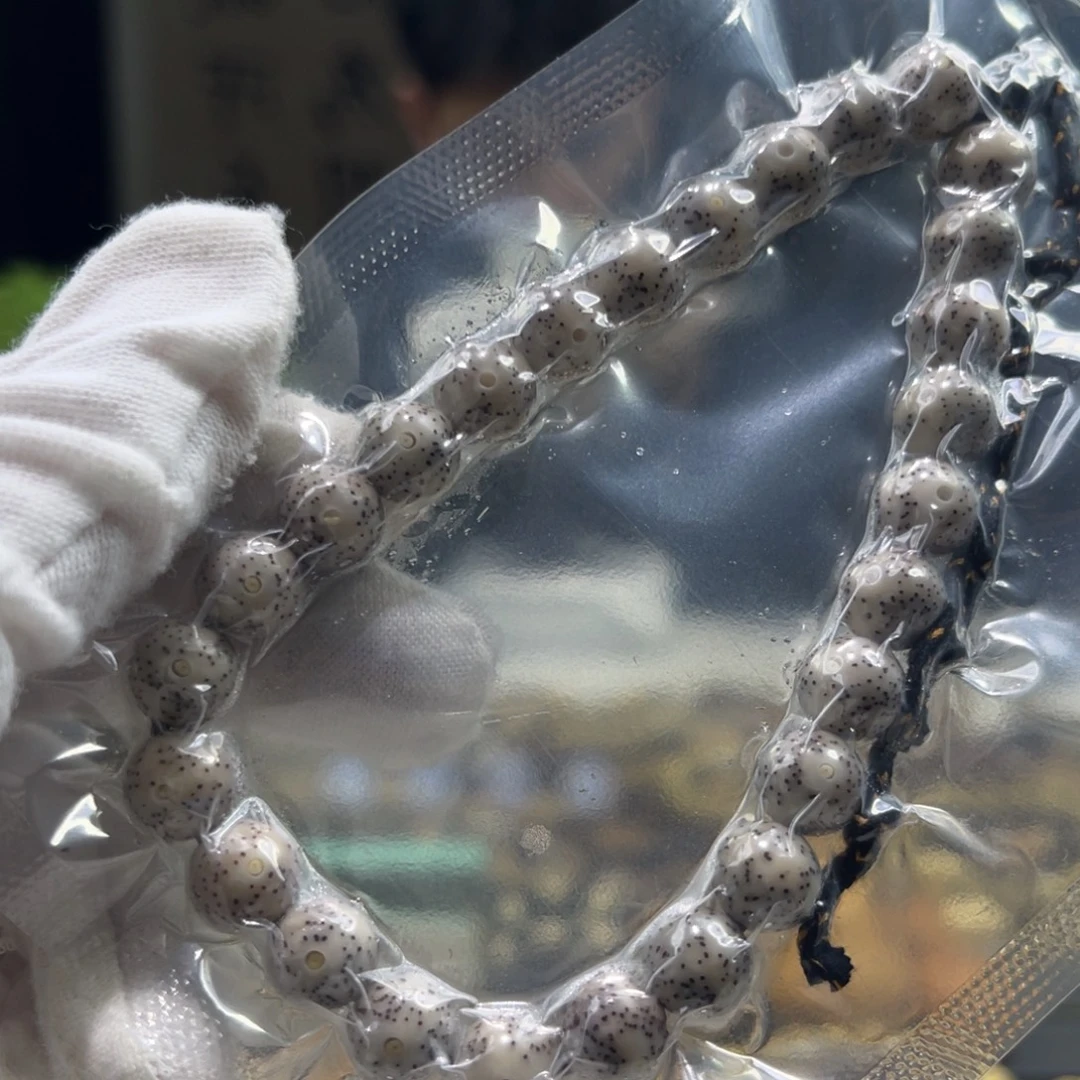 把件星月菩提开播福利A1