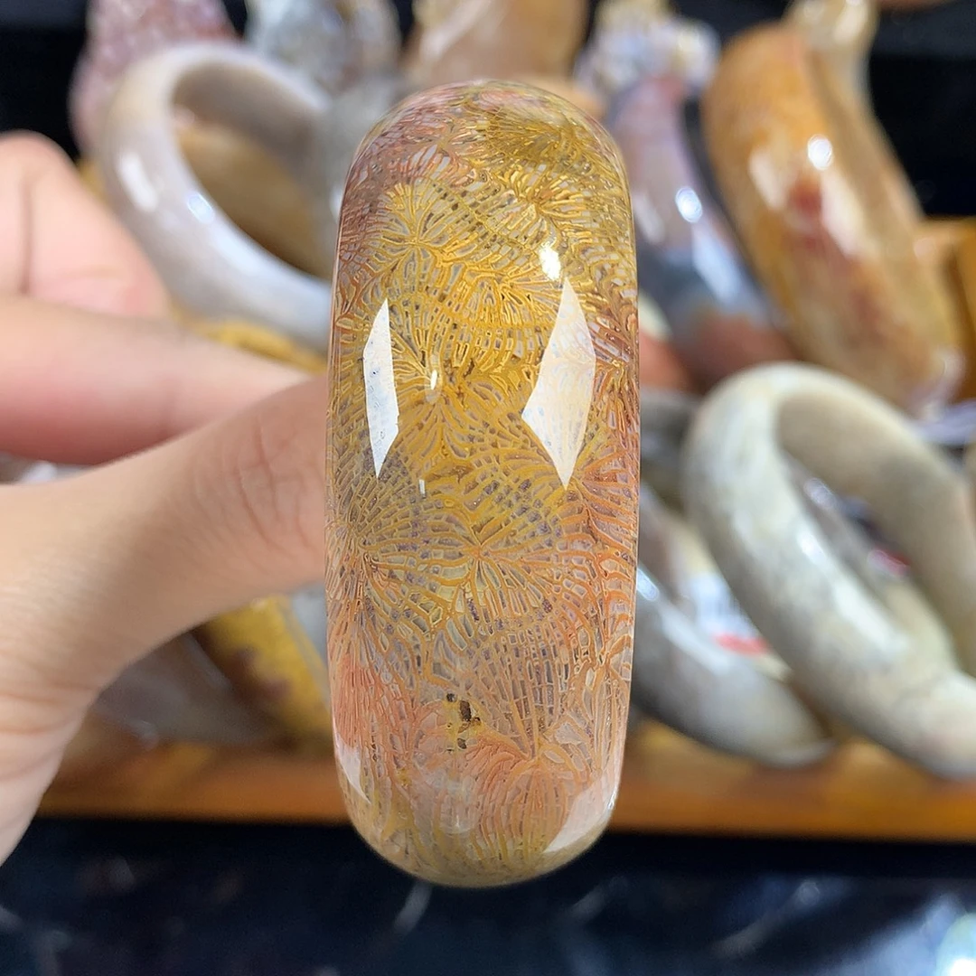 吊坠(赠链)未镶嵌硅化珊瑚（珊瑚玉）21号凤尾53.6圈口