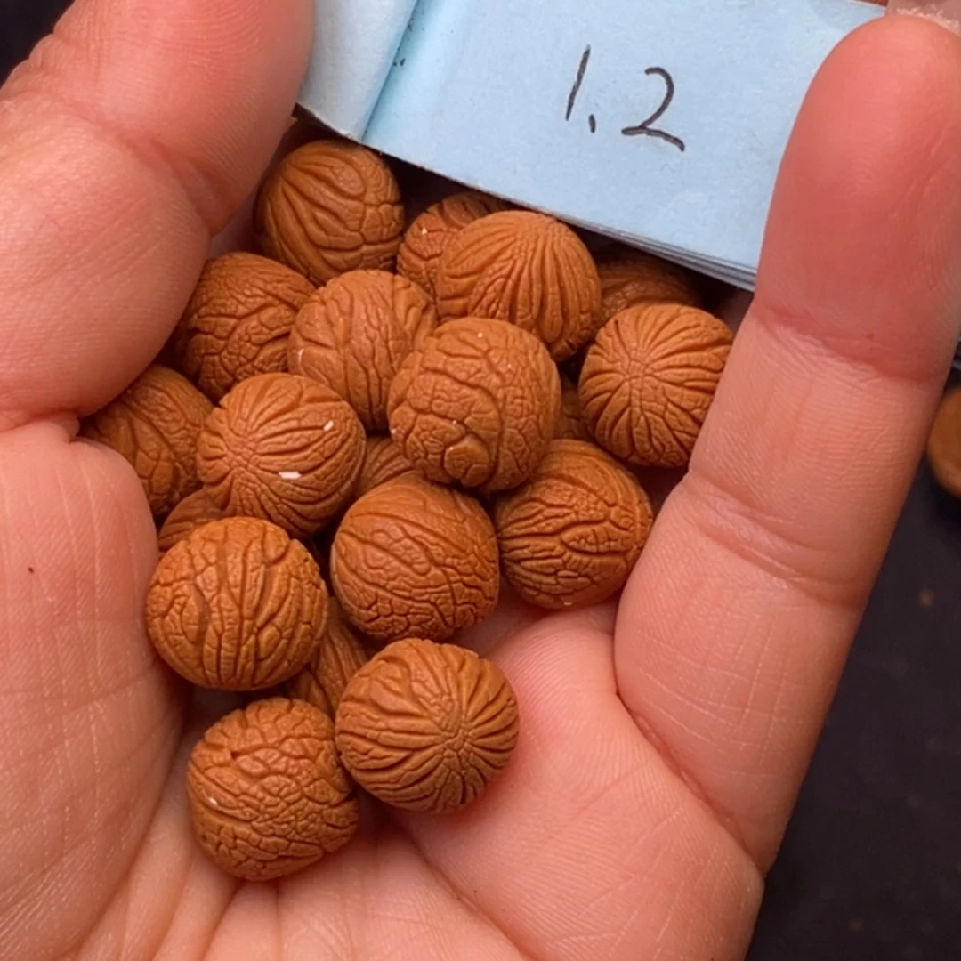 秦岭龙纹桃核20颗