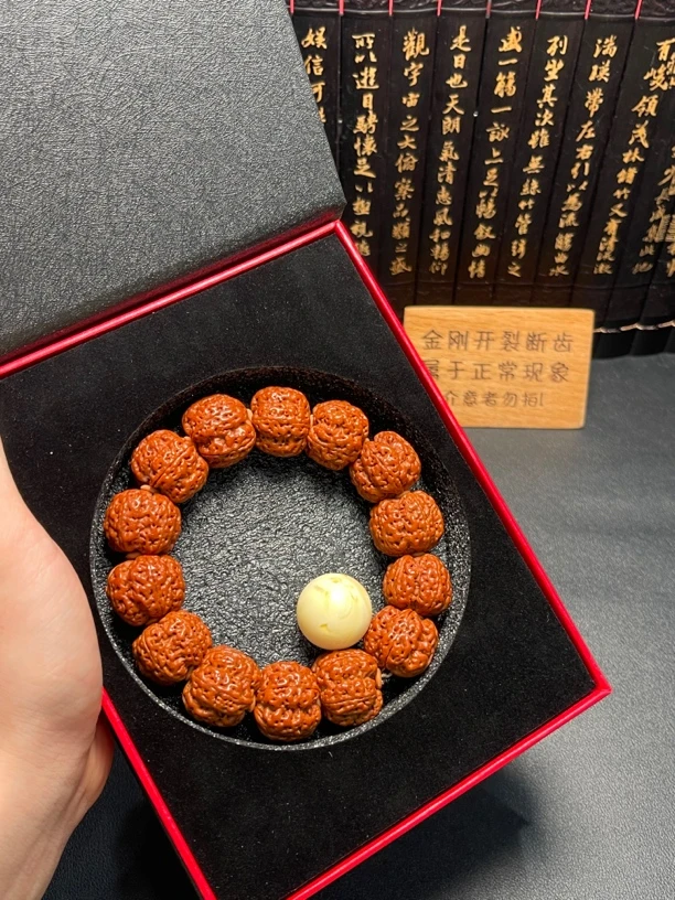 超头吊炸天菩提（11号）