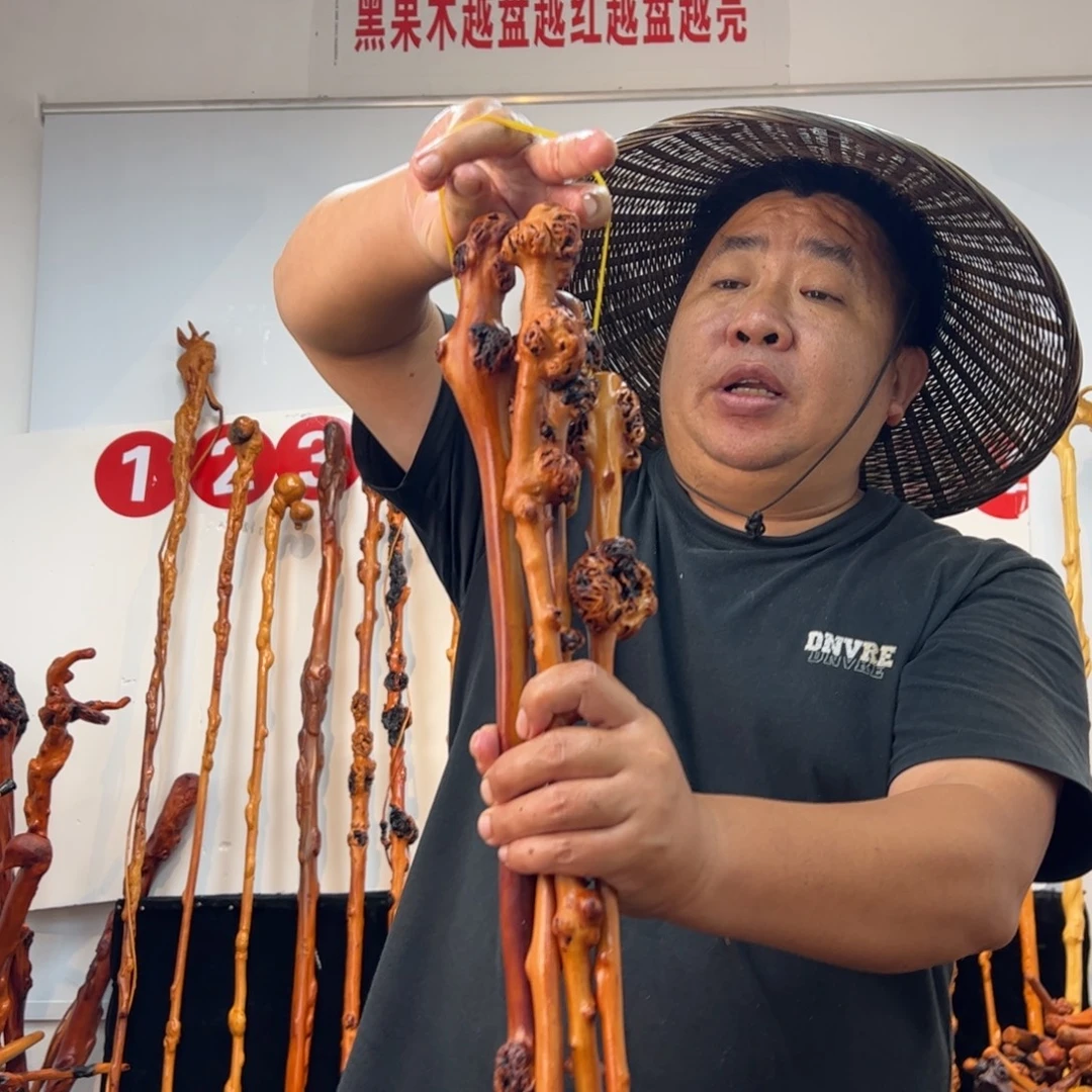 黑果木其他黑果木618