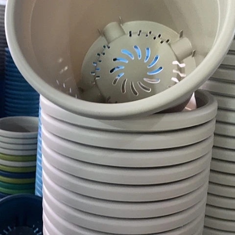 树脂四季5号灰白微瑕无托10个