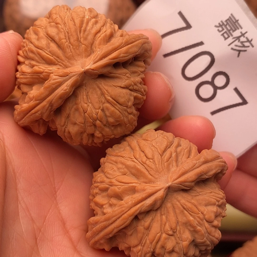 由***发把件文玩核桃45白狮子