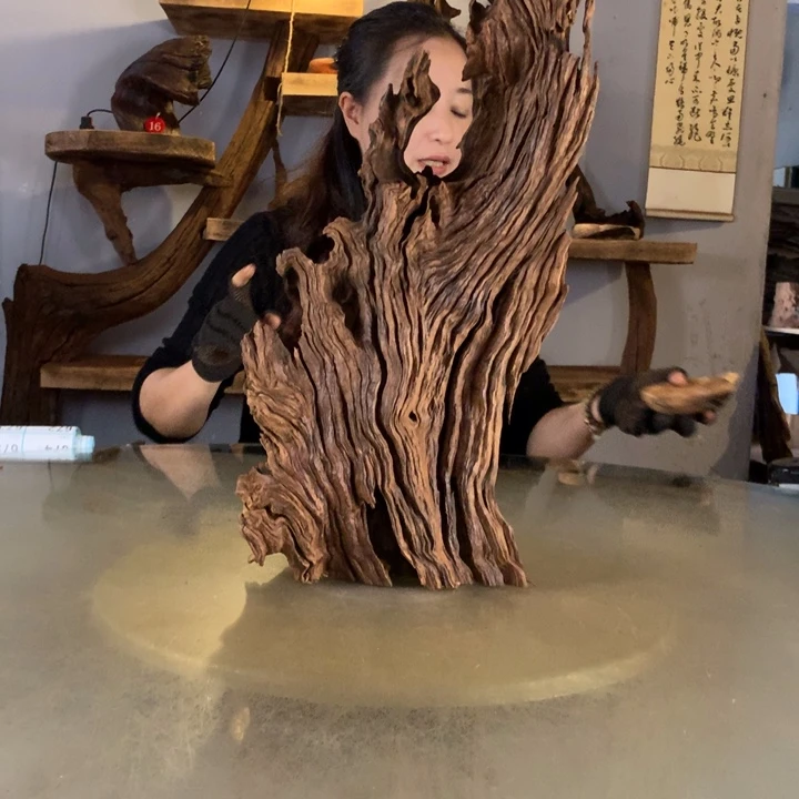 李***害天然的云南紫柚木会黄水