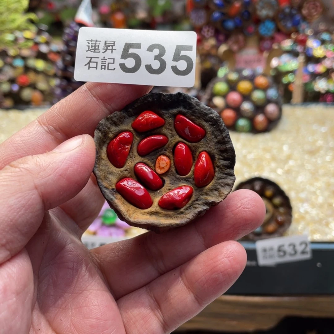 核桃木/黑胡桃（胡桃木）535