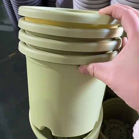 树脂四季2号12个带托果绿