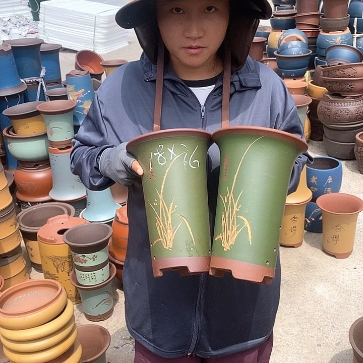 紫砂花盆盆栽花卉种植