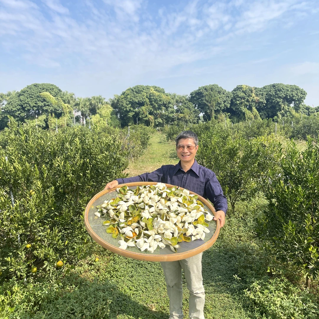 新会5.0陈皮【2024年 二红皮】双水产区50g/ 1斤