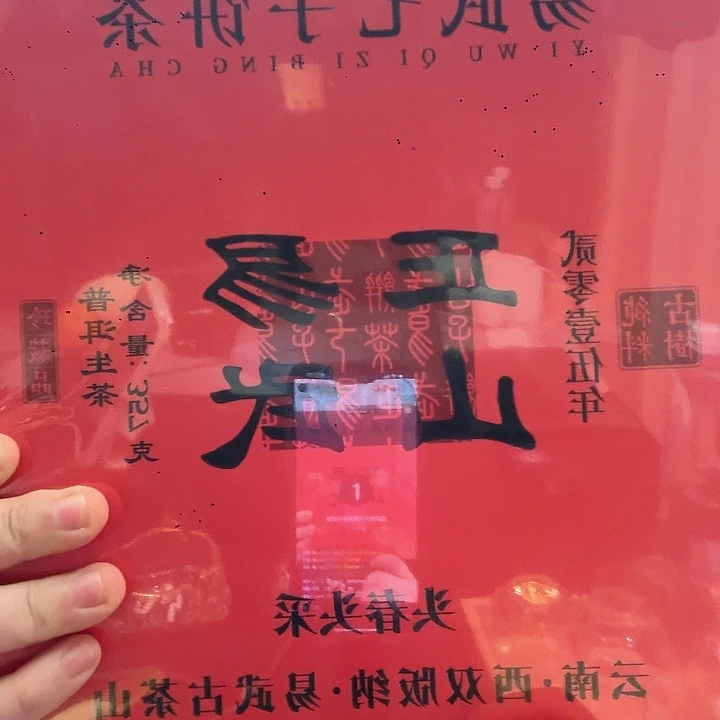 紫砂茶宠易武正山吴老师款