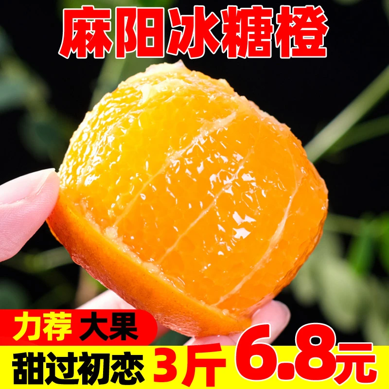 【补贴中】湖南麻阳冰糖橙9斤5斤3斤当季新鲜水果手剥甜橙子脐多汁