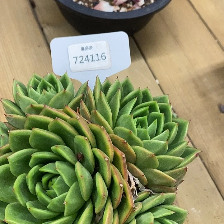 我****724116福利价格