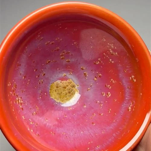 【闪购商品】茶盏-29.............