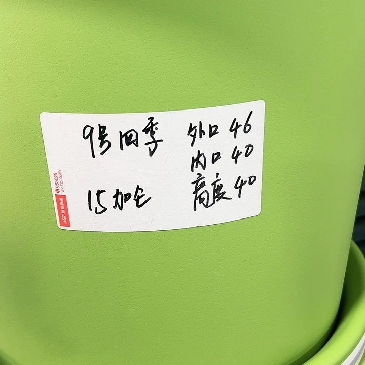 特价9号四季口46高40果绿色2个无托