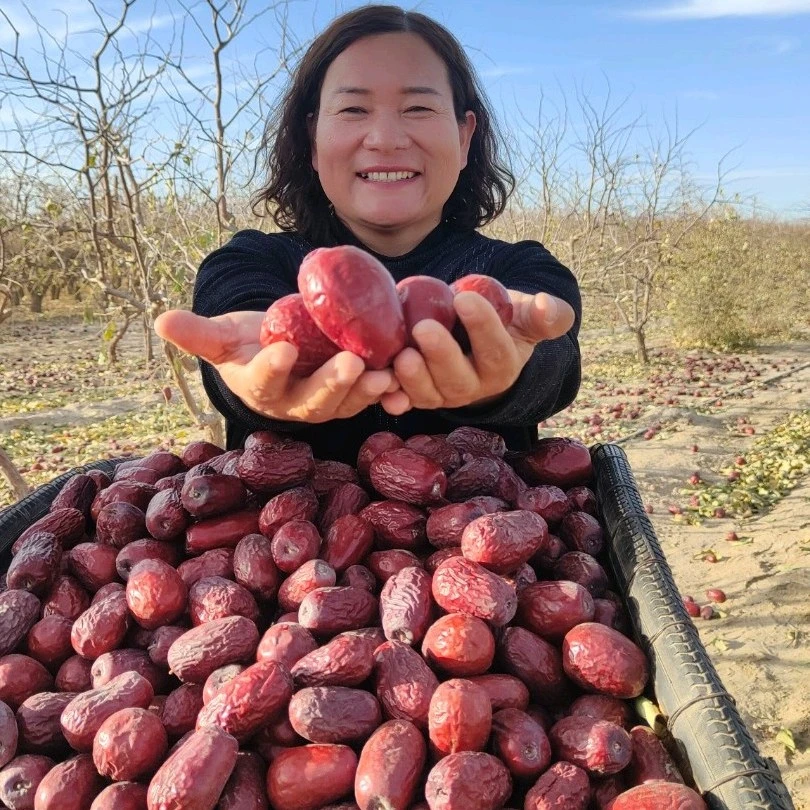 大枣二三级混装树上吊干原生态红枣原产地直发拍五斤发六斤
