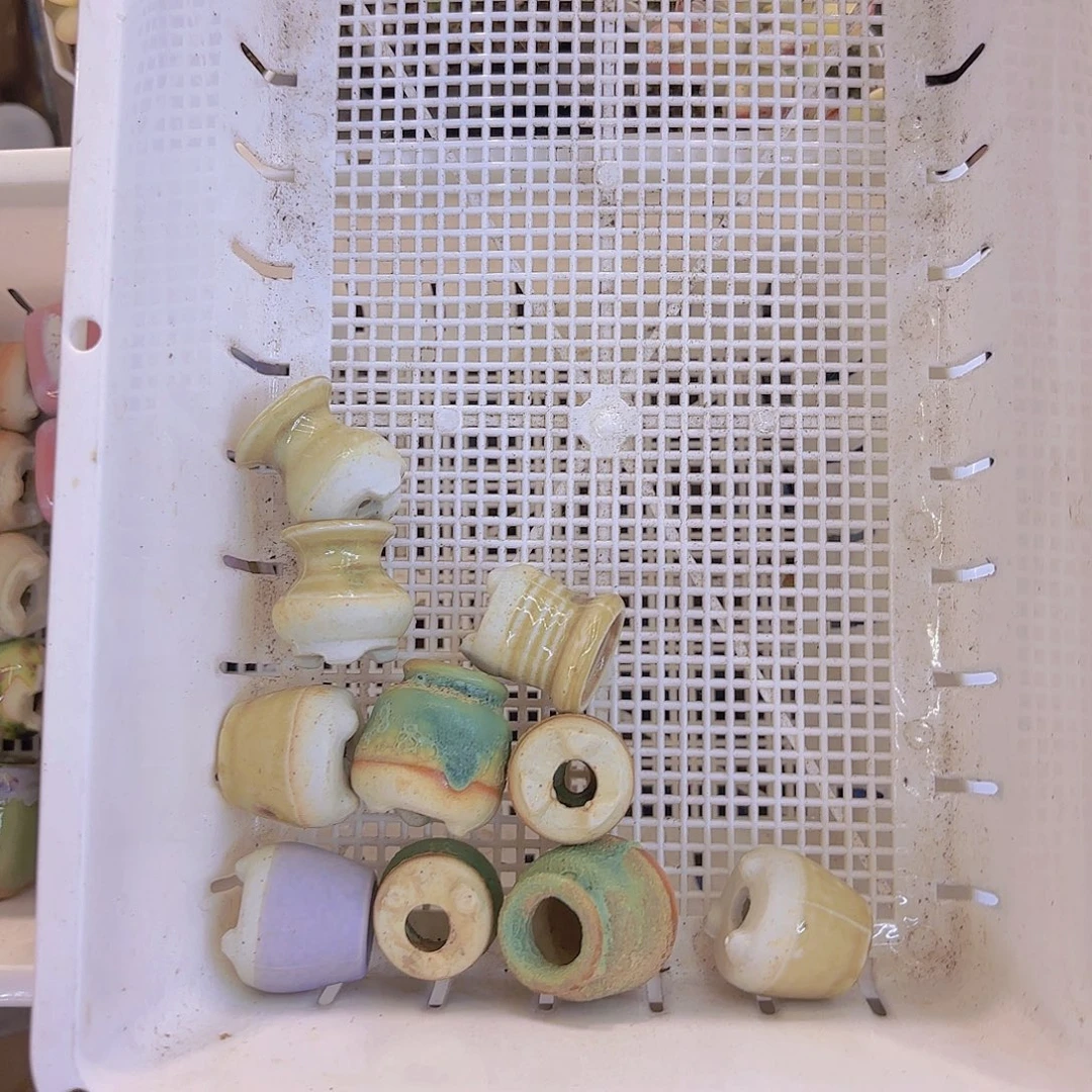 莲***蕊小米粒十个一物一拍