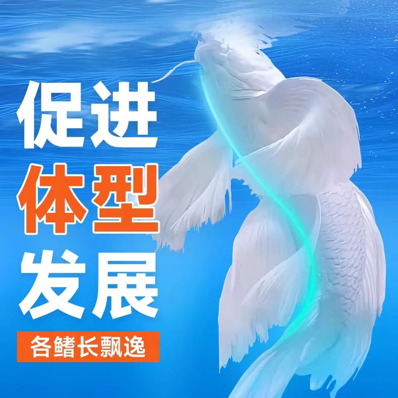 台湾蝴蝶鲤专用鱼饲料增白发尾高蛋白鱼粮喂食精选优质健康