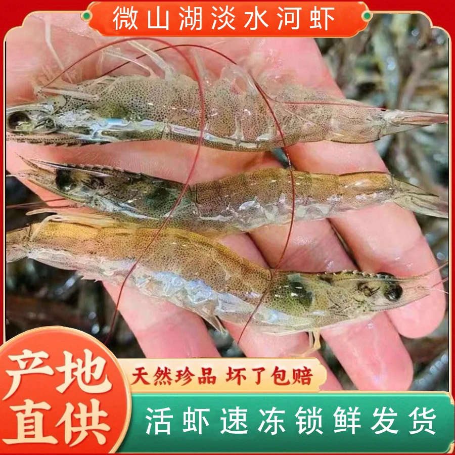 【到手3.2斤】野捕微山湖河虾230g*7包新鲜捕捞急冻锁鲜8-12cmA