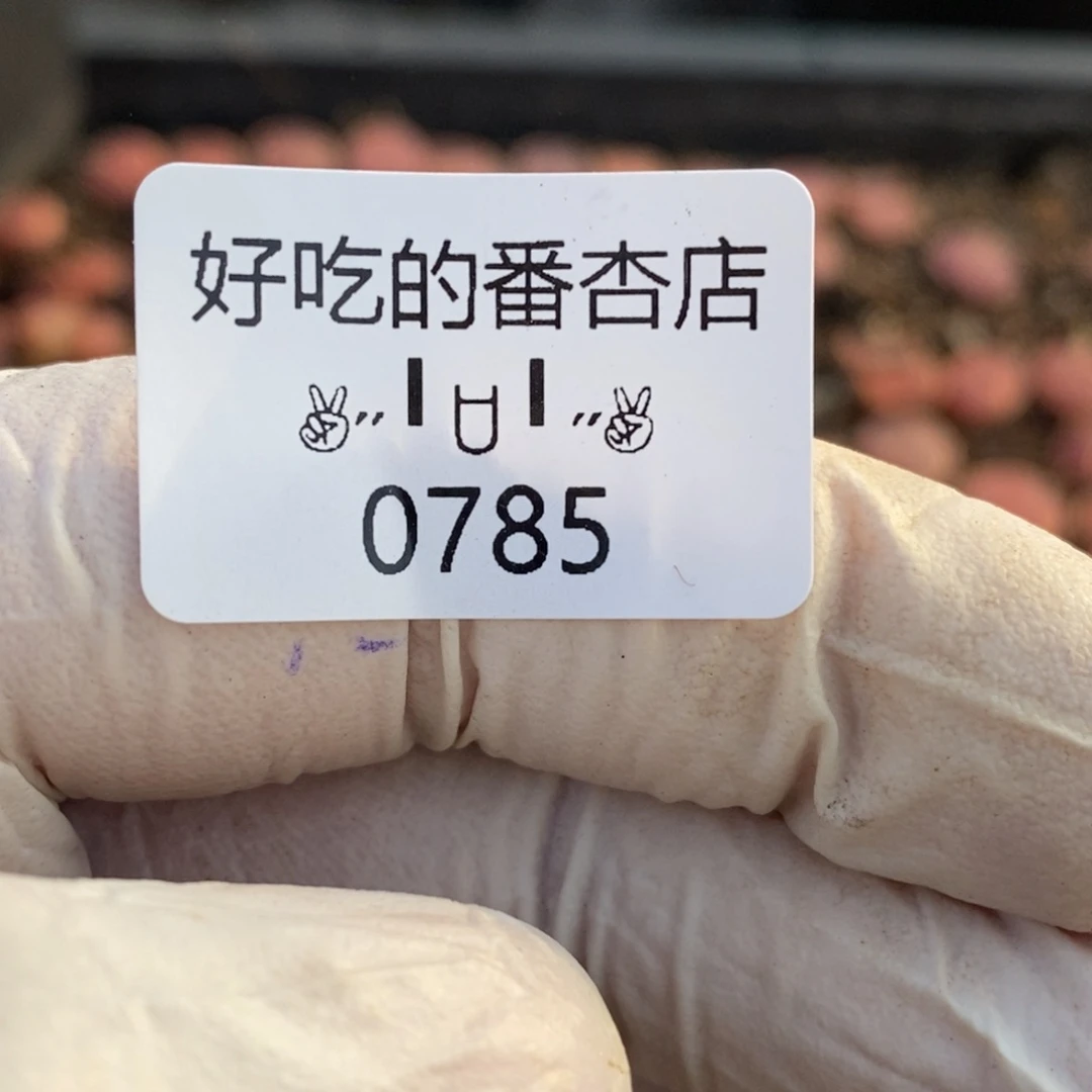 小***鱼0785。补。。。。。。。。