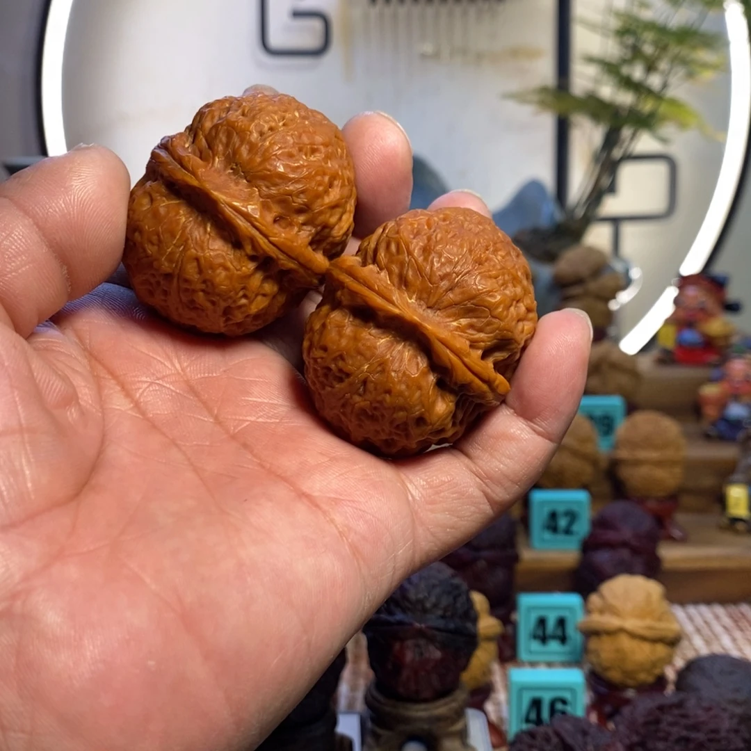 唇***绵吊坠龙脊菩提狮门关又名狮子头