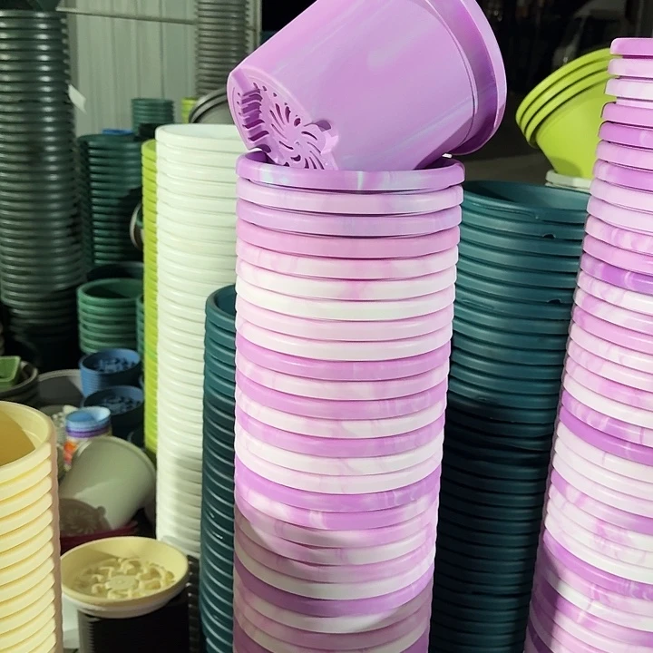 串色3#口径21紫色6个无托