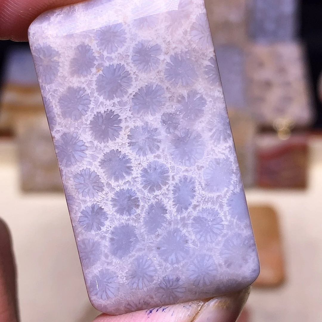 硅化玉珠宝奇石合金?****