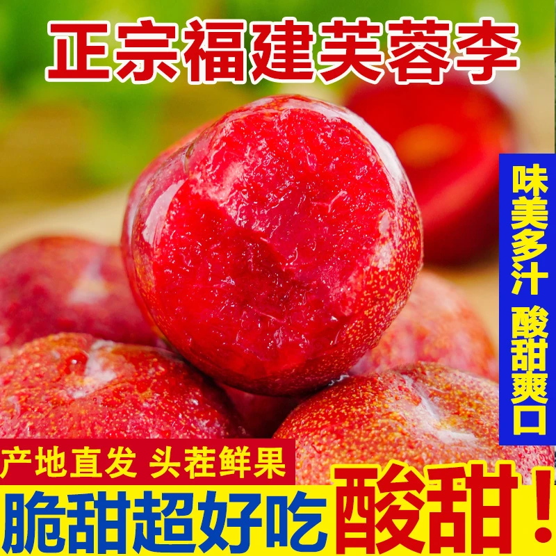 AZ福建高山芙蓉李当季果李子酸甜可口4斤