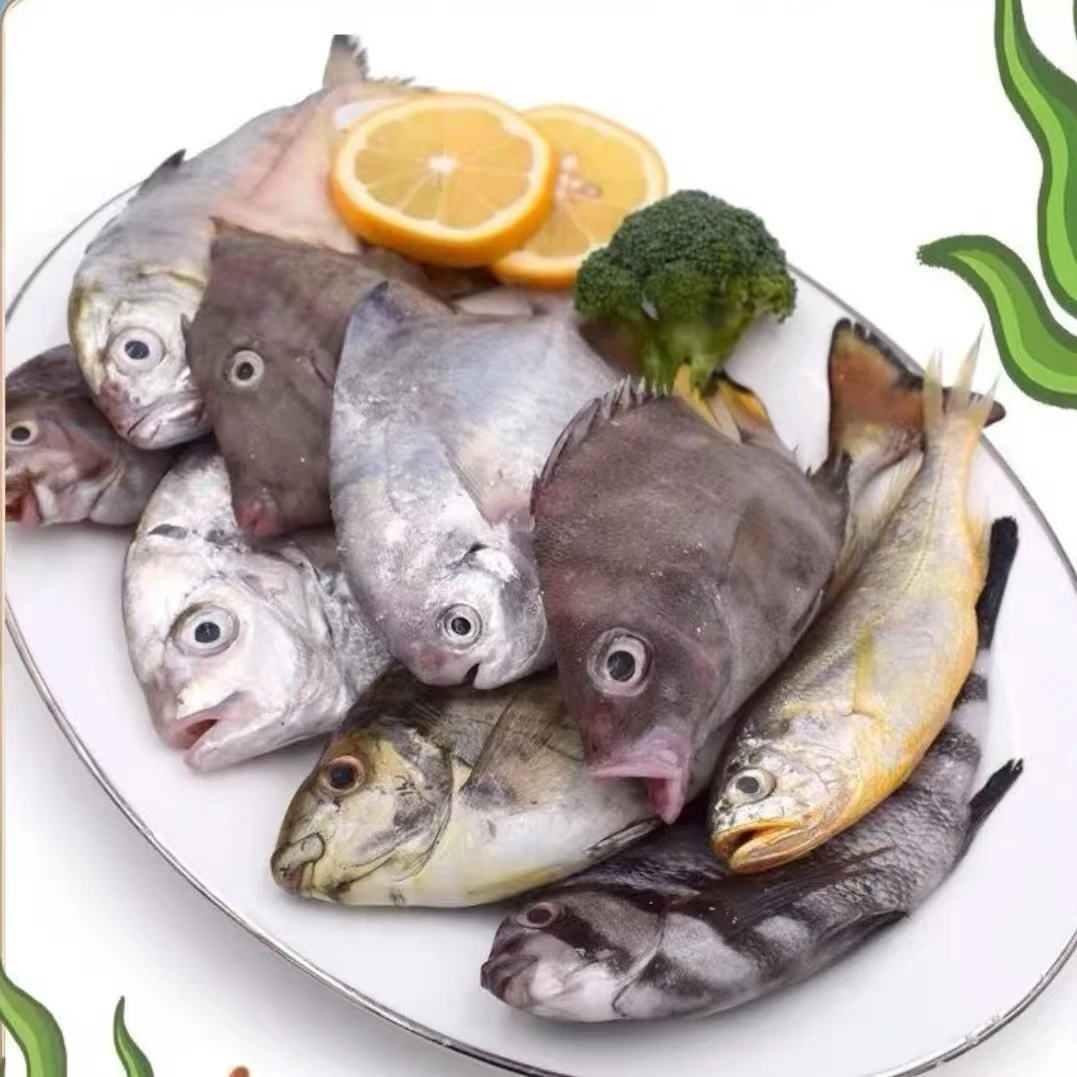 野生海鱼海捕杂鱼600g一袋