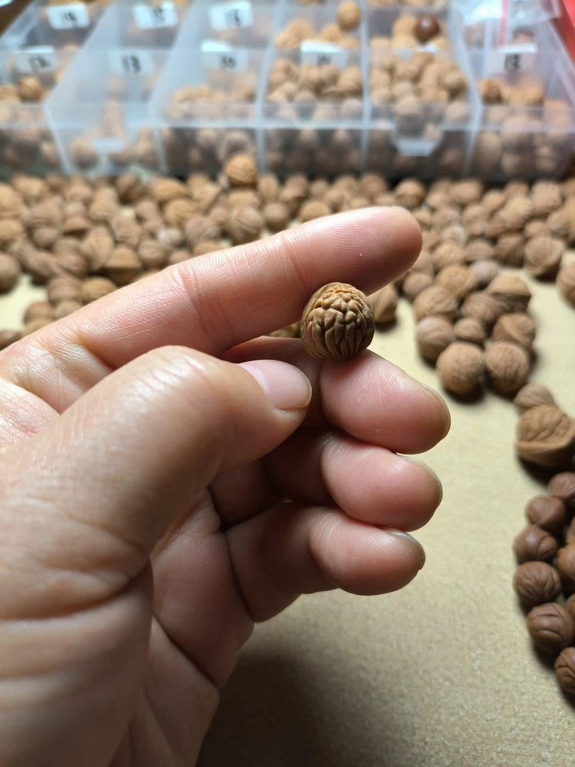 秦岭龙纹桃核手串料