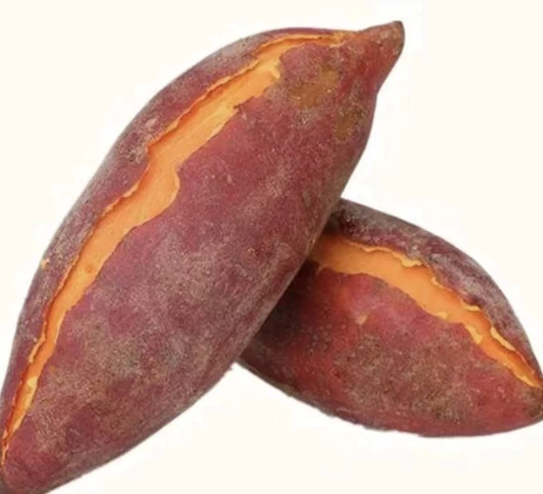 安徽正宗西瓜红红薯新鲜现挖