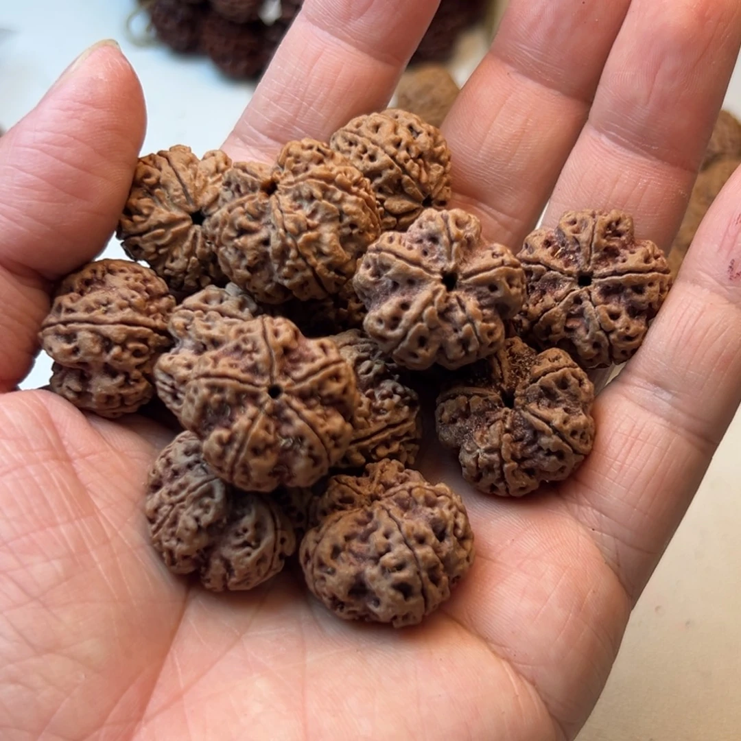 吊坠金刚菩提5瓣23龙骨梅花