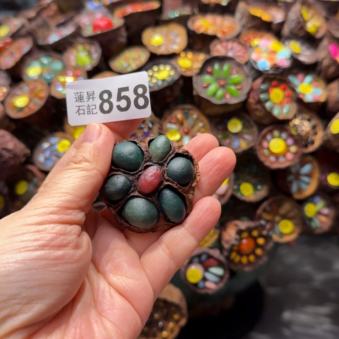 海***芳莲蓬摆件莲蓬摆件